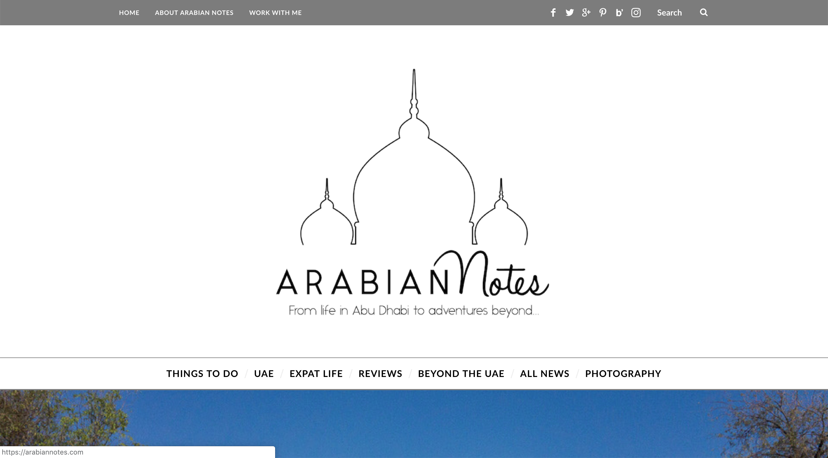 arabian notes blog